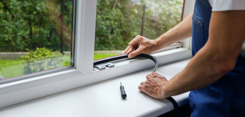 Professional Installing Windows